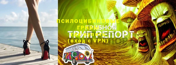 тгк Лагань